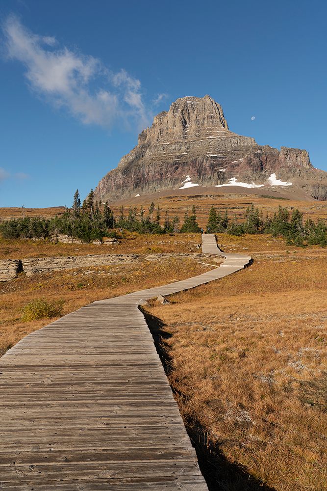 USA-Montana-Glacier National Park Boardwalk towards Clements Mountain art print by Jaynes Gallery for $57.95 CAD