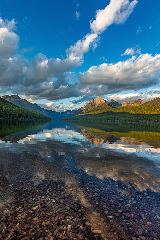 Late afternoon at Bowman Lake in Glacier National Park-Montana-USA art print by Chuck Haney for $57.95 CAD