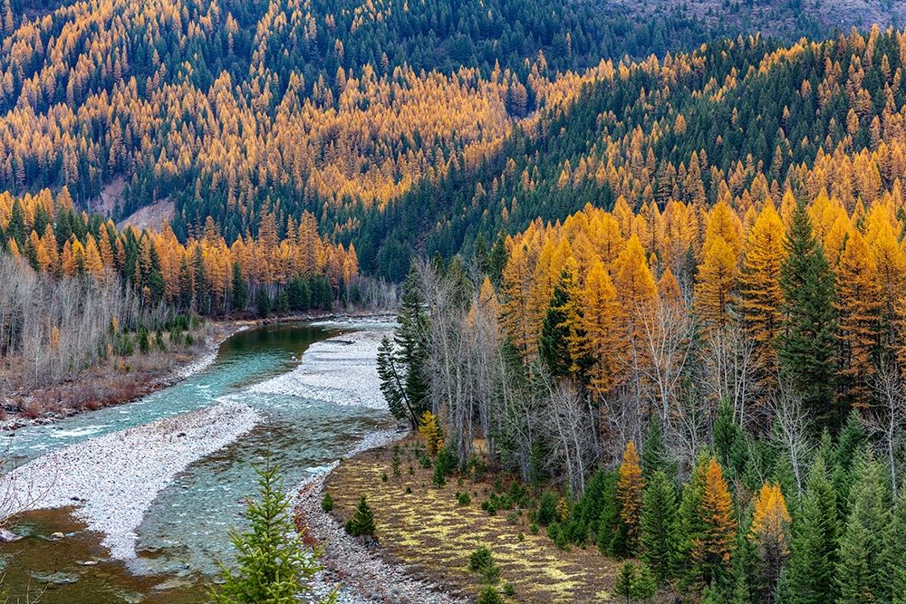 Middle Fork of the Flathead River in autumn in Glacier National Park-Montana-USA art print by Chuck Haney for $57.95 CAD
