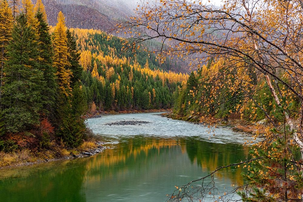 North Fork of the Flathead River in autumn in Glacier National Park-Montana-USA art print by Chuck Haney for $57.95 CAD