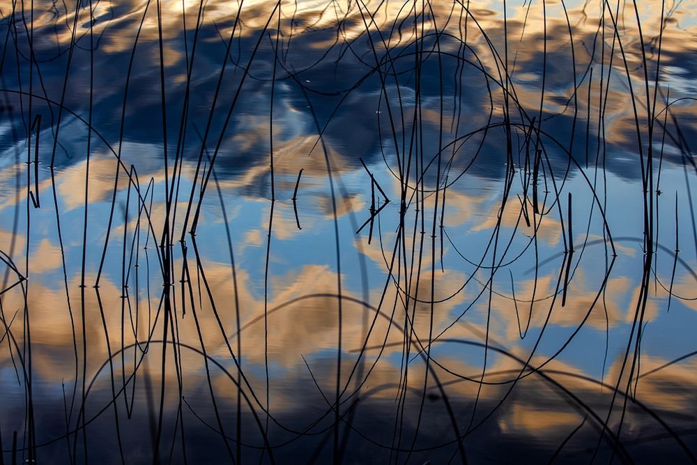 Autumn reflections in Spencer Lake near Whitefish-Montana-USA art print by Chuck Haney for $57.95 CAD