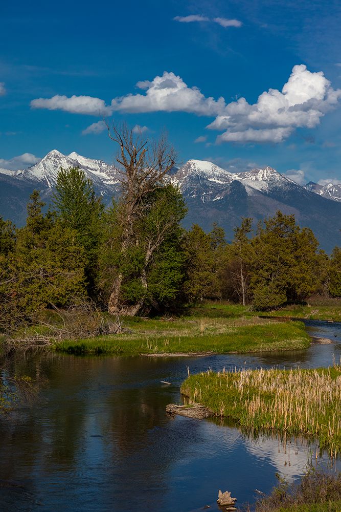 Mission Creek at the National Bison Range in Moiese-Montana-USA art print by Chuck Haney for $57.95 CAD