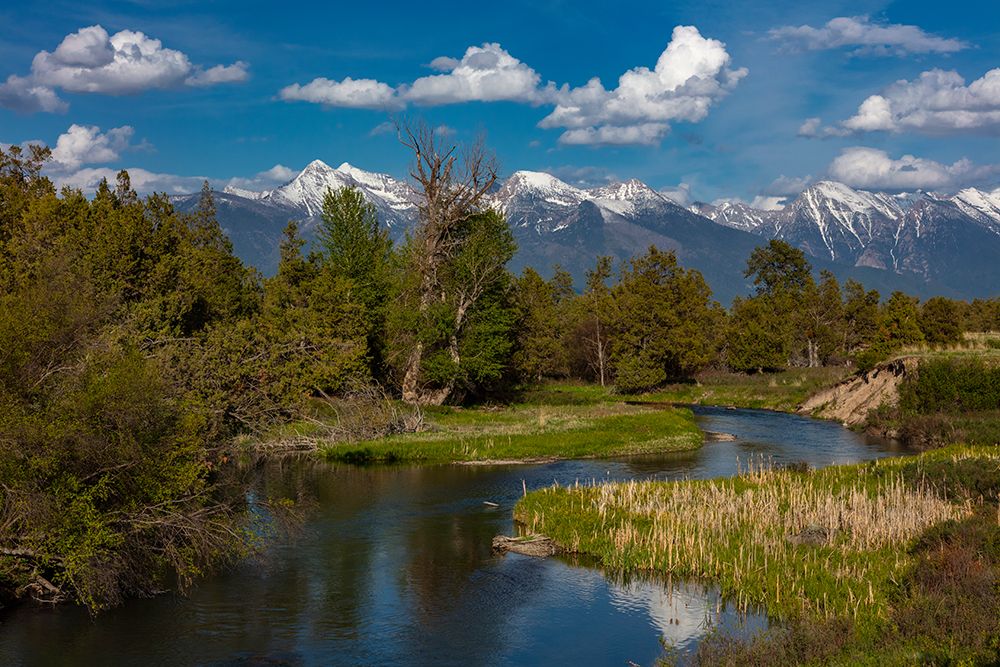 Mission Creek at the National Bison Range in Moiese-Montana-USA art print by Chuck Haney for $57.95 CAD