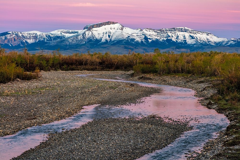 Dawn along the Teton River with Ear Mountain in background near Choteau-Montana-USA art print by Chuck Haney for $57.95 CAD