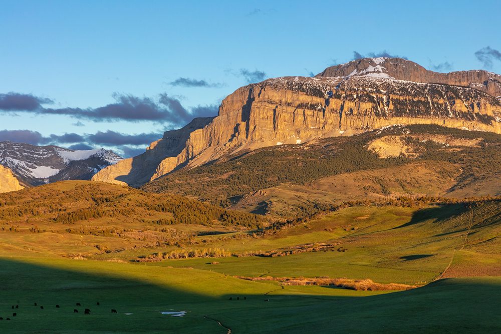 Cattle pastures below Walling Reef at sunrise near Dupuyer-Montana-USA art print by Chuck Haney for $57.95 CAD