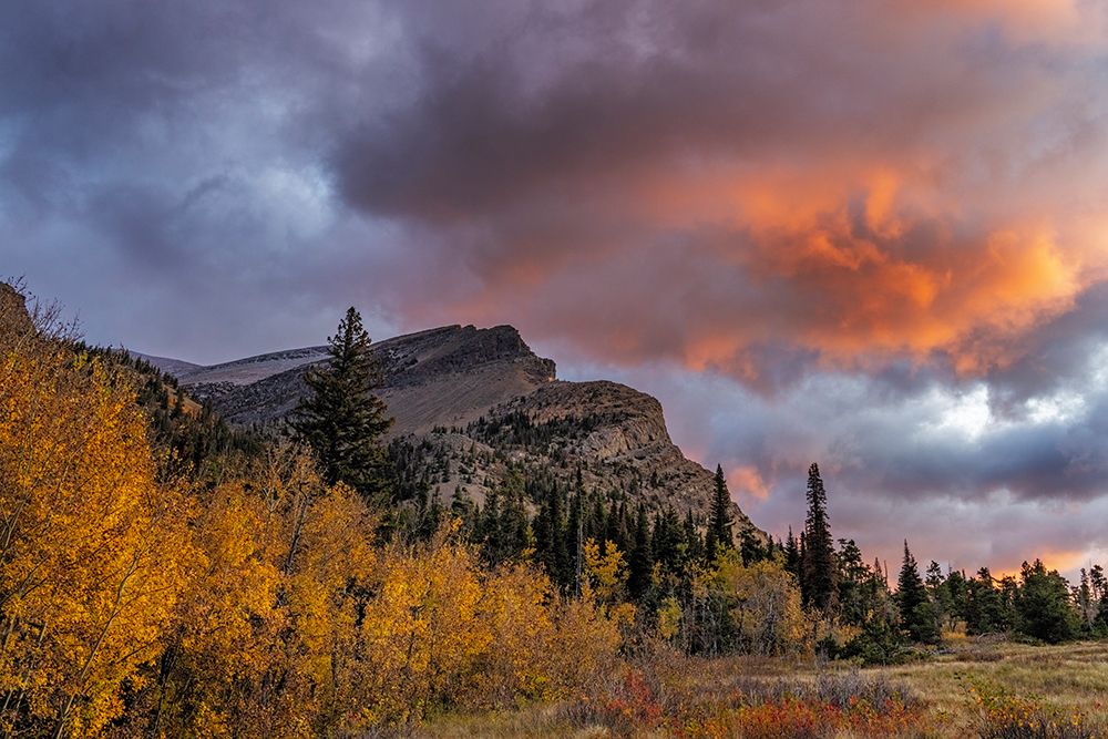Sunrise clouds over Bear Mountain in Glacier National Park-Montana-USA art print by Chuck Haney for $57.95 CAD