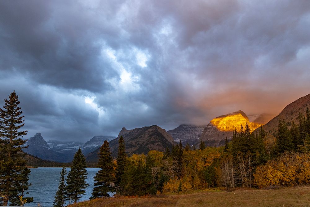 Shoulder of Mount Cleveland bathed in golden sunrise light in Glacier National Park-Montana-USA art print by Chuck Haney for $57.95 CAD