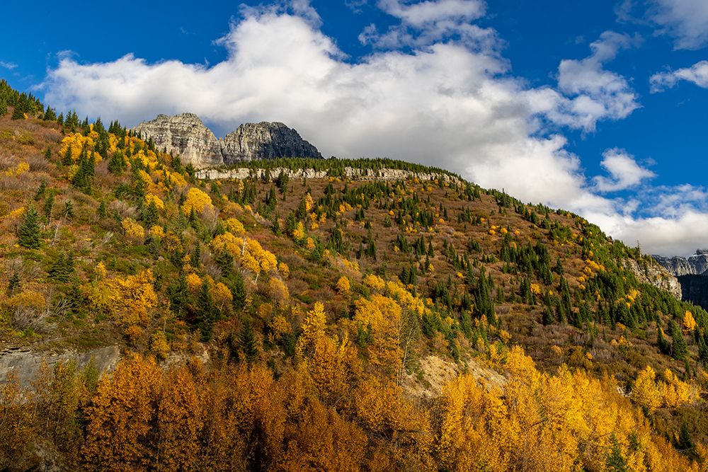 Autumn hues below The Garden Wall in Glacier National Park, Montana, USA art print by Chuck Haney for $57.95 CAD
