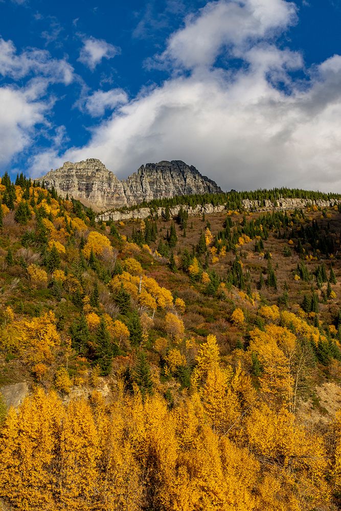 Autumn hues below The Garden Wall in Glacier National Park, Montana, USA art print by Chuck Haney for $57.95 CAD