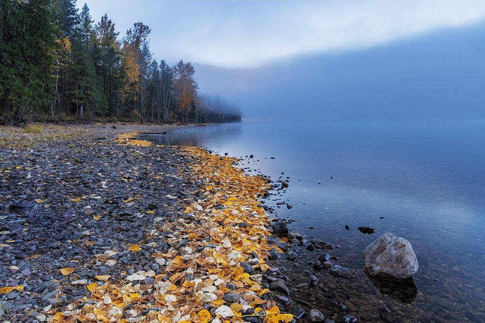 Foggy morning on Lake McDonald in Glacier National Park, Montana, USA art print by Chuck Haney for $57.95 CAD