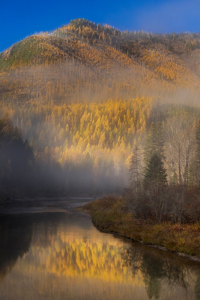Foggy autumn sunrise on McDonald Creek and Apgar Mountain in Glacier National Park, Montana, USA art print by Chuck Haney for $57.95 CAD