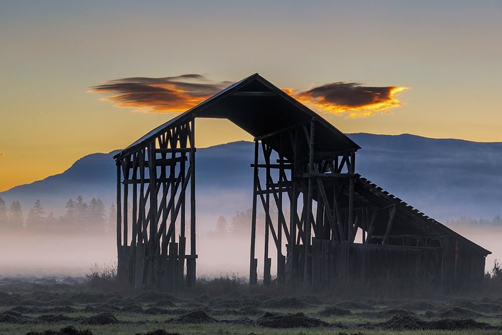 Old hay shed with fresh cut hay on a foggy morning in Whitefish, Montana, USA art print by Chuck Haney for $57.95 CAD