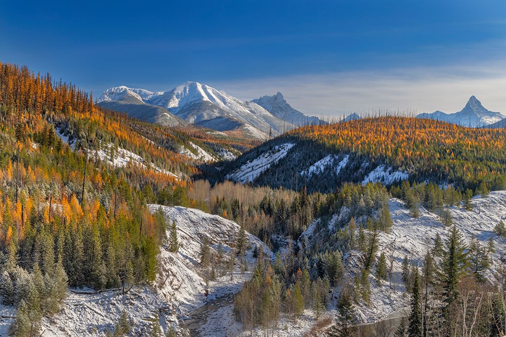 Coal Creek with Cloudcroft Peaks in late autumn in Glacier National Park-Montana-USA art print by Chuck Haney for $57.95 CAD