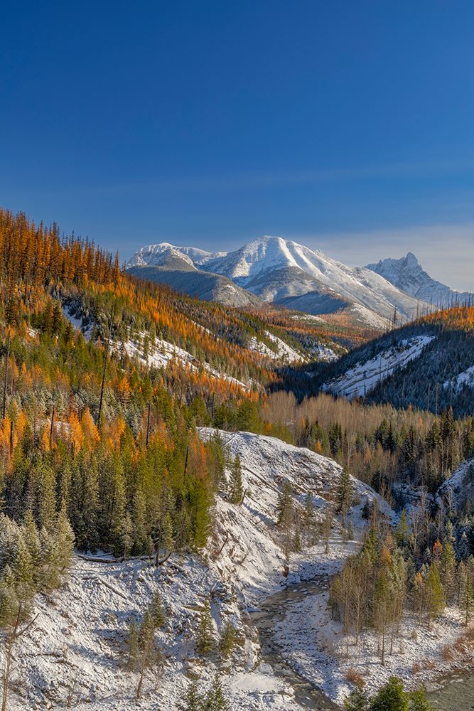 Coal Creek with Cloudcroft Peaks in late autumn in Glacier National Park-Montana-USA art print by Chuck Haney for $57.95 CAD