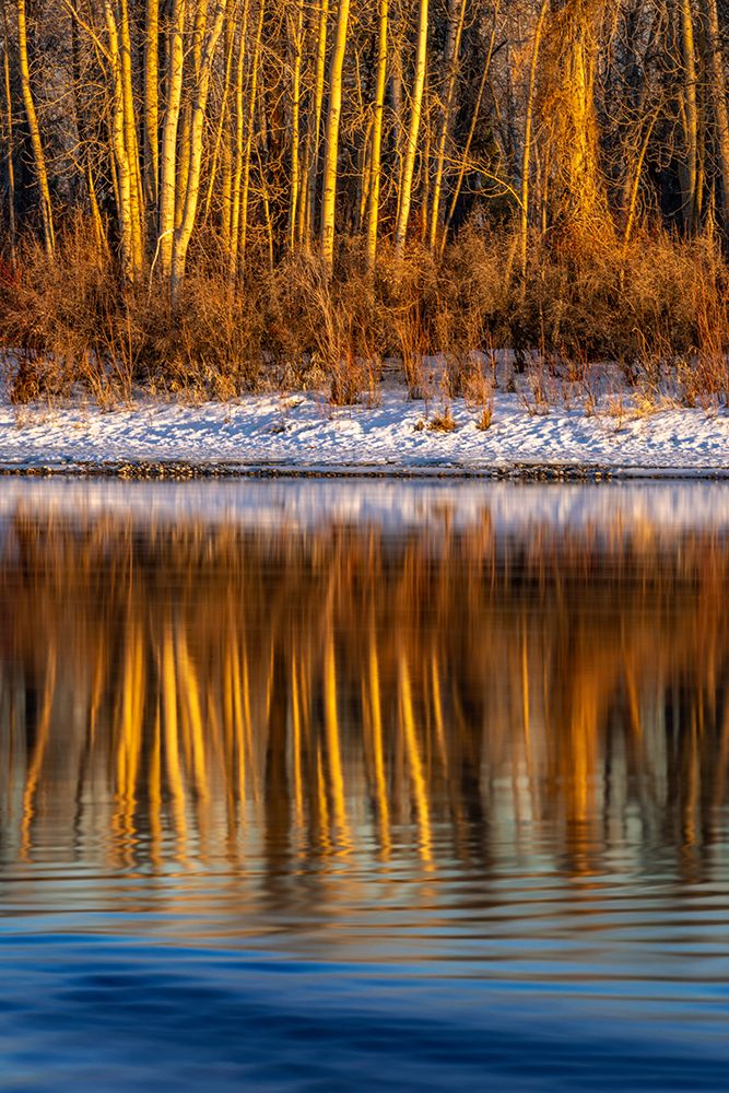 Last light of the day on the banks of the Flathead River in Kalispell-Montana-USA art print by Chuck Haney for $57.95 CAD