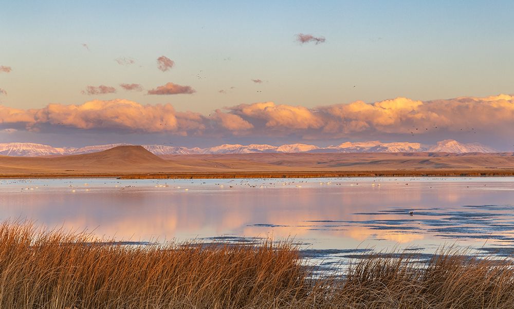 Wetlands pond at sunrise at Freezeout Lake Wildlife Management Area near Choteau-Montana-USA art print by Chuck Haney for $57.95 CAD