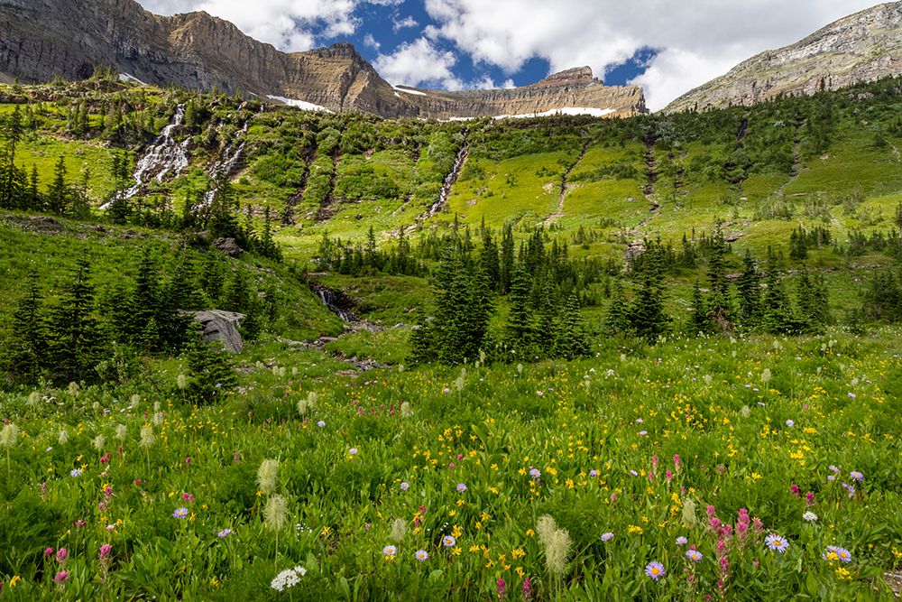 Alpine wildflowers in Hole in the Wall Basin in Glacier National Park-Montana-USA art print by Chuck Haney for $57.95 CAD