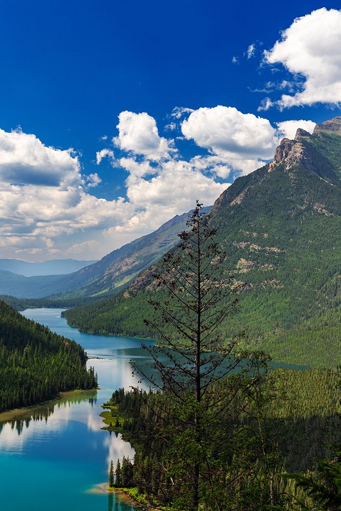 Looking down on to Upper Kintla Lake in Glacier National Park-Montana-USA art print by Chuck Haney for $57.95 CAD
