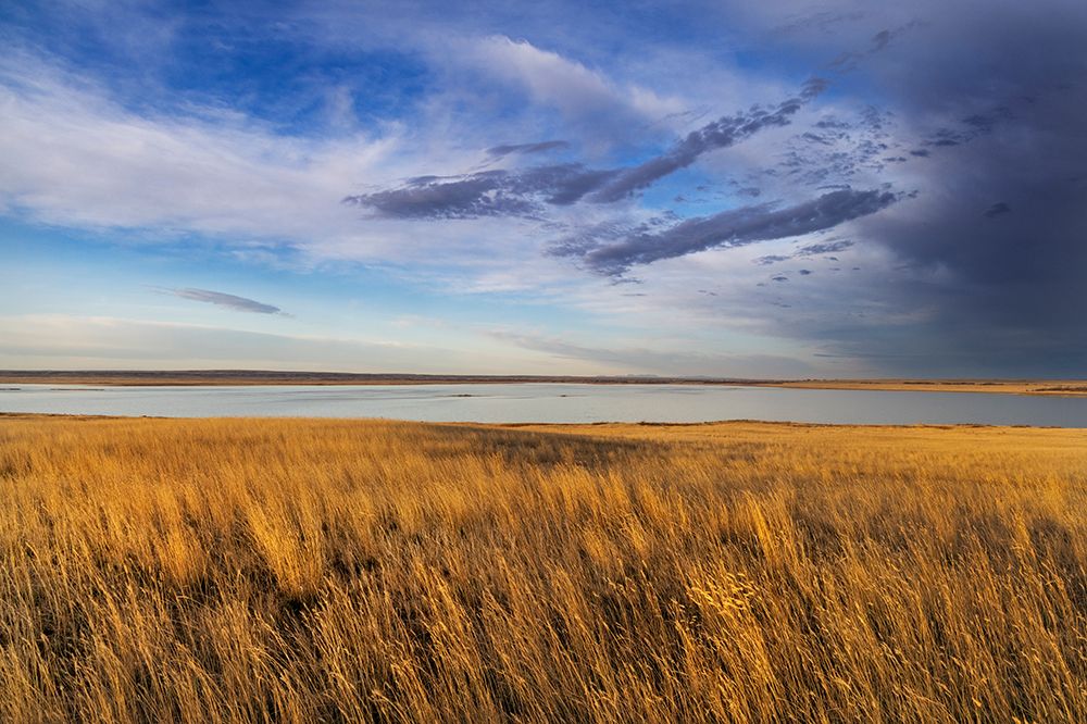 Prairie grasslands and Lake Bowdoin at Bowdoin National Wildlife Refuge near Malta, Montana, USA. art print by Chuck Haney for $57.95 CAD