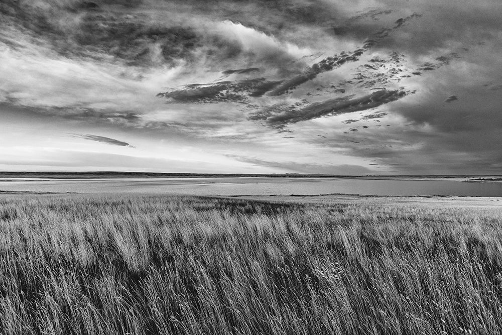 Prairie grasslands and Lake Bowdoin at Bowdoin National Wildlife Refuge near Malta, Montana, USA. art print by Chuck Haney for $57.95 CAD
