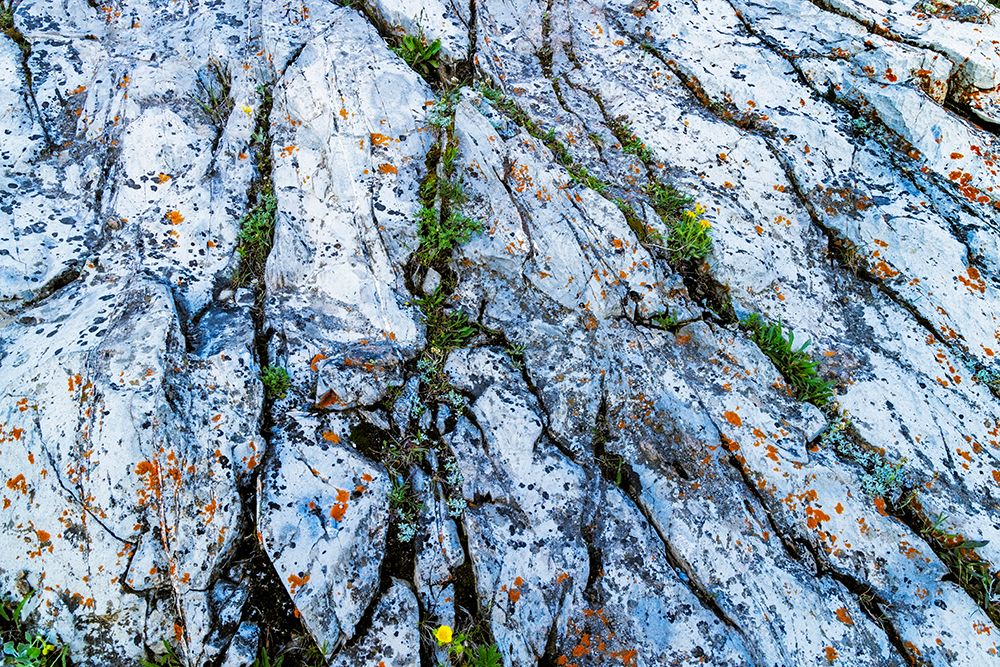 Rock art in Glacier National Park, Montana, USA. art print by Chuck Haney for $57.95 CAD
