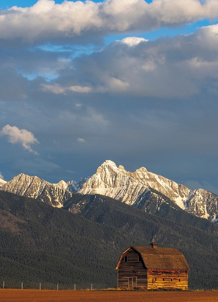 Old wooden barn and Mission Mountains near Pablo, Montana, USA. art print by Chuck Haney for $57.95 CAD