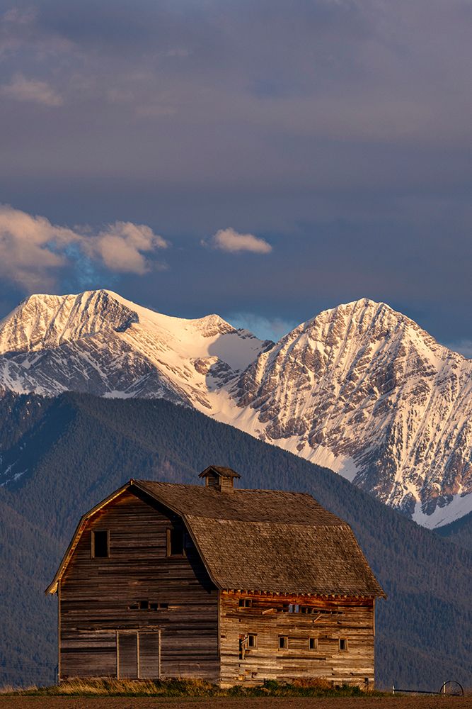 Old wooden barn and Mission Mountains near Pablo, Montana, USA. art print by Chuck Haney for $57.95 CAD