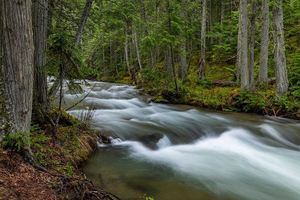 Mission Creek in the Mission Mountains Tribal Wilderness near St. Ignatius, Montana, USA. art print by Chuck Haney for $57.95 CAD