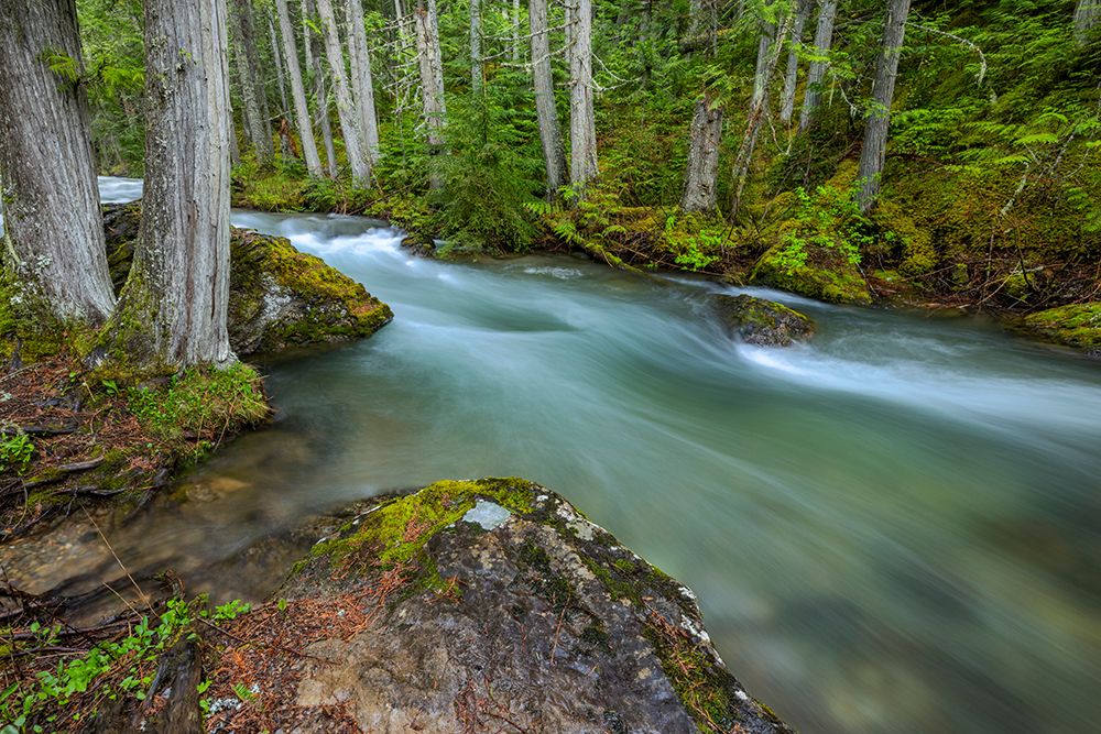 Mission Creek in the Mission Mountains Tribal Wilderness near St. Ignatius, Montana, USA. art print by Chuck Haney for $57.95 CAD