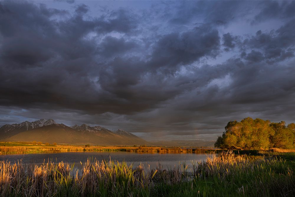 Wetlands pond reflects the Mission Mountains at sunset at Ninepipe NWR near Ronan, Montana, USA. art print by Chuck Haney for $57.95 CAD