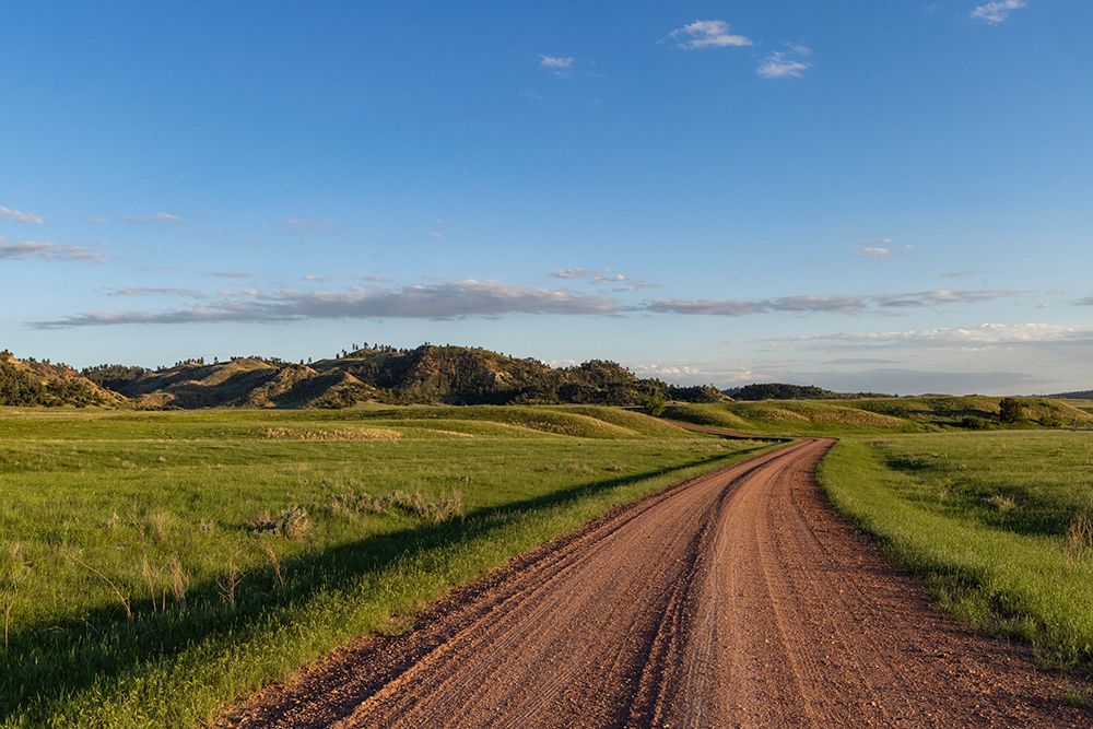 Gravel Road along the Powder River in the Custer National Forest, Montana, USA. art print by Chuck Haney for $57.95 CAD