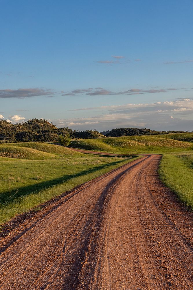 Gravel Road along the Powder River in the Custer National Forest, Montana, USA. art print by Chuck Haney for $57.95 CAD