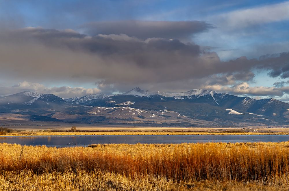 Wetlands below Mount Powell in the Flint Creek Range in Warm Springs, Montana, USA. art print by Chuck Haney for $57.95 CAD