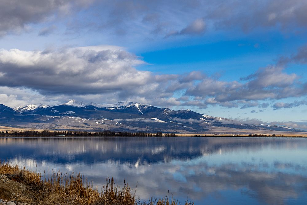 Wetlands below Mount Powell in the Flint Creek Range in Warm Springs, Montana, USA. art print by Chuck Haney for $57.95 CAD