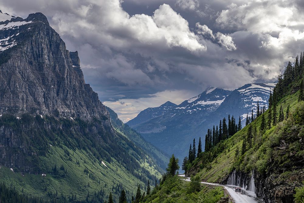 The Weeping Wall along Going-to-the-Sun Road in Glacier National Park, Montana, USA. art print by Chuck Haney for $57.95 CAD