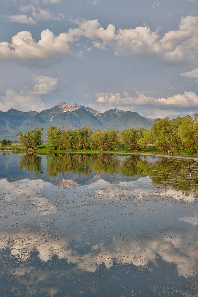 USA, Montana, Allentown. Evening light of Mission Mountains reflected in small pond. art print by Darrell Gulin for $57.95 CAD