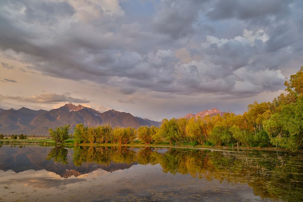 USA, Montana, Allentown. Evening light of Mission Mountains reflected in small pond. art print by Darrell Gulin for $57.95 CAD