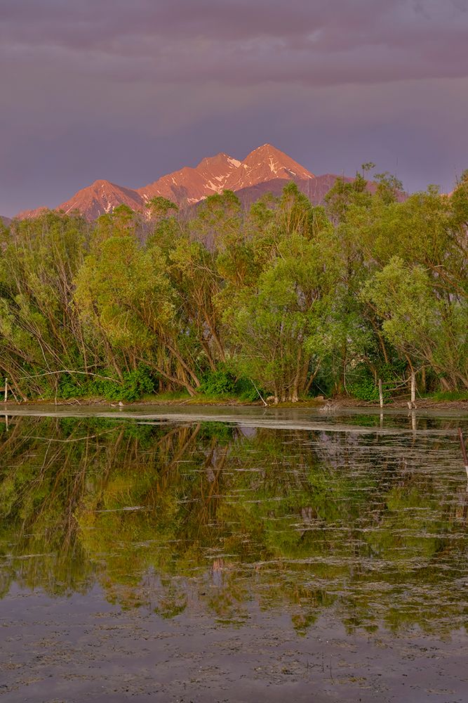 USA, Montana, Allentown. Evening light of Mission Mountains reflected in small pond. art print by Darrell Gulin for $57.95 CAD