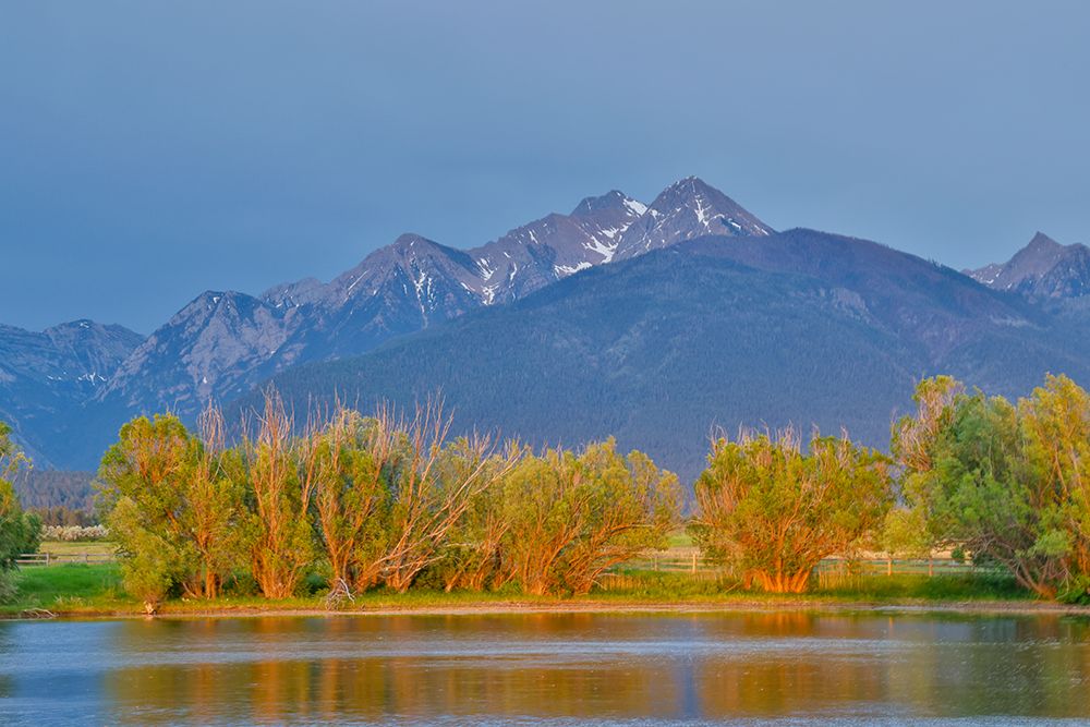 USA, Montana, Allentown. Evening light of Mission Mountains reflected in small pond. art print by Darrell Gulin for $57.95 CAD