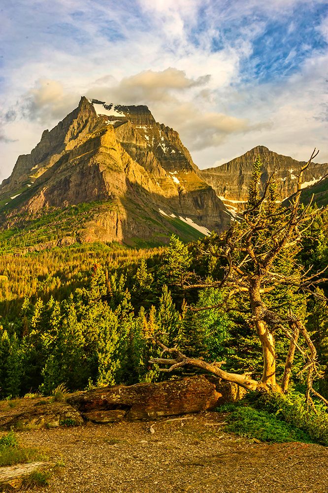 Going-to-the-Sun Road-Glacier National Park art print by George and Marilu Theodore for $57.95 CAD