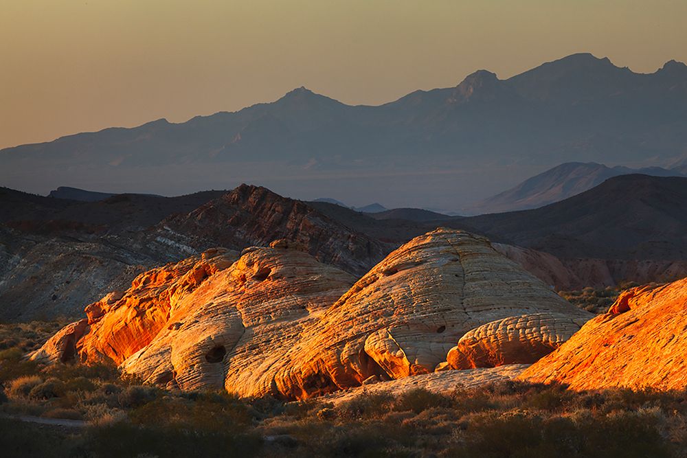 Last light on red sandstone or Aztec Sandstone-Valley of Fire-Nevada art print by Adam Jones for $57.95 CAD