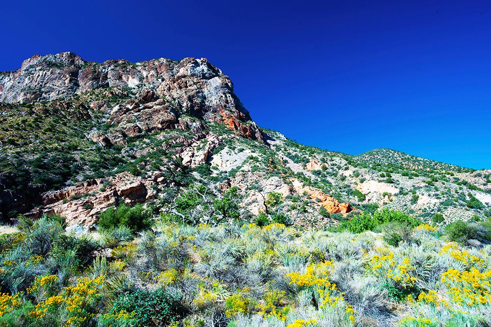 USA, Nevada, Elgin. Rainbow Canyon art print by Bernard Friel for $57.95 CAD