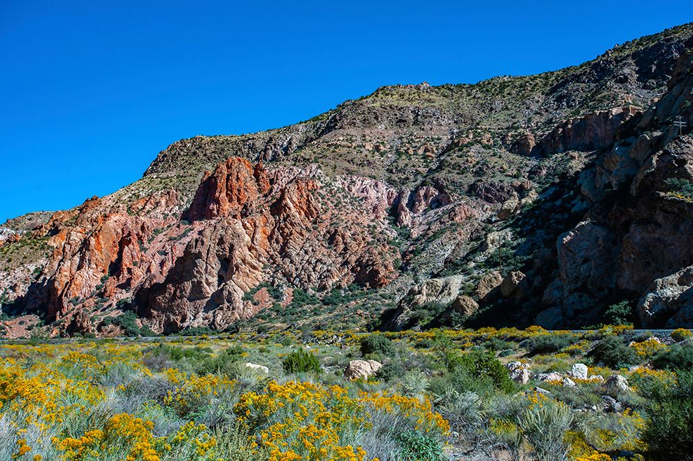 USA, Nevada, Elgin. Rainbow Canyon art print by Bernard Friel for $57.95 CAD