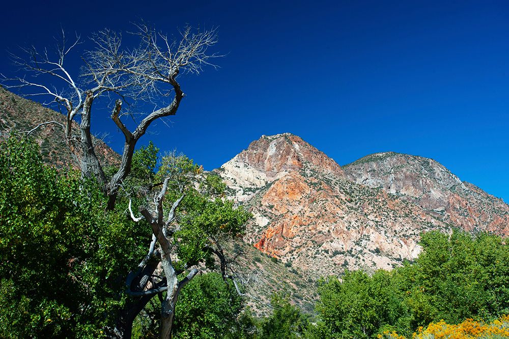USA, Nevada, Elgin. Rainbow Canyon art print by Bernard Friel for $57.95 CAD