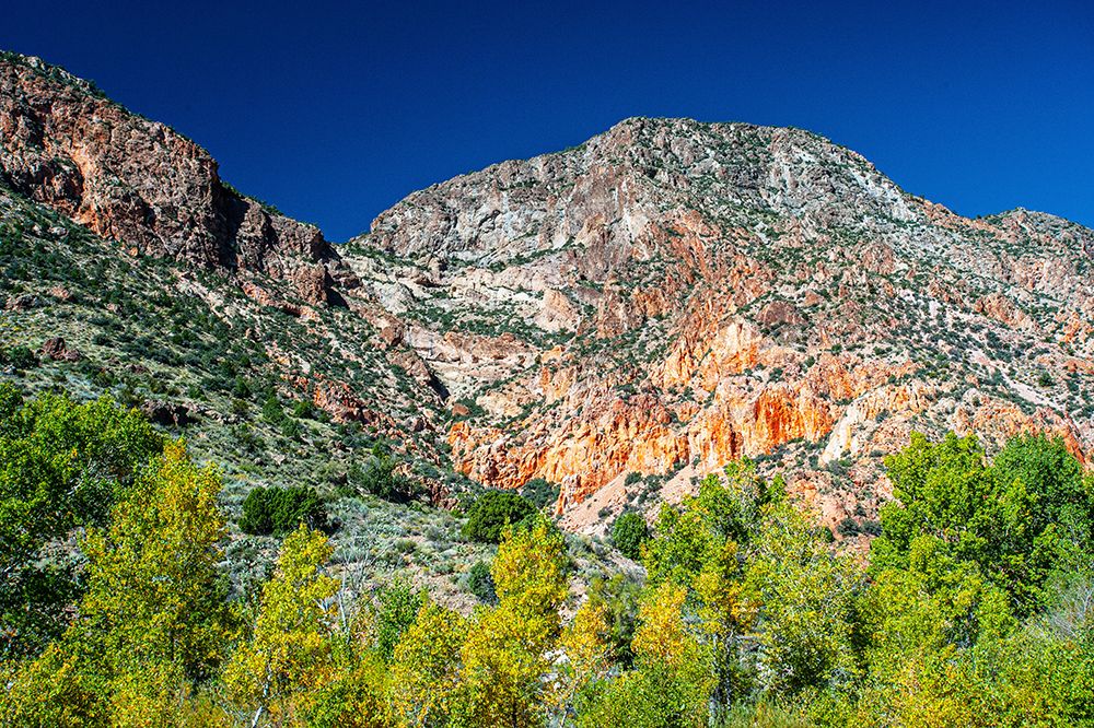 USA, Nevada, Elgin. Rainbow Canyon art print by Bernard Friel for $57.95 CAD