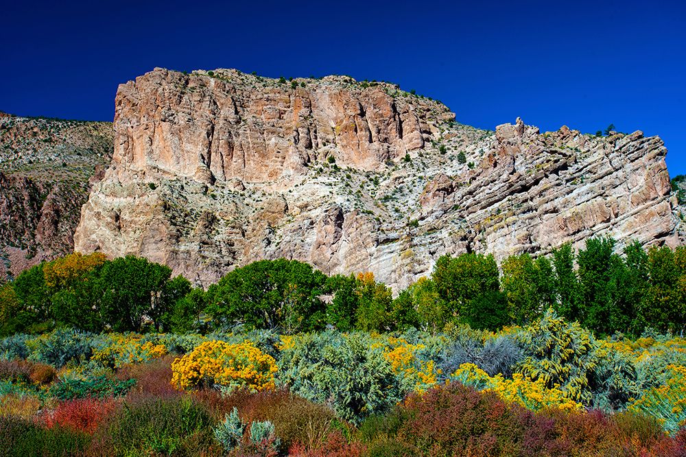 USA, Nevada, Elgin. Rainbow Canyon art print by Bernard Friel for $57.95 CAD