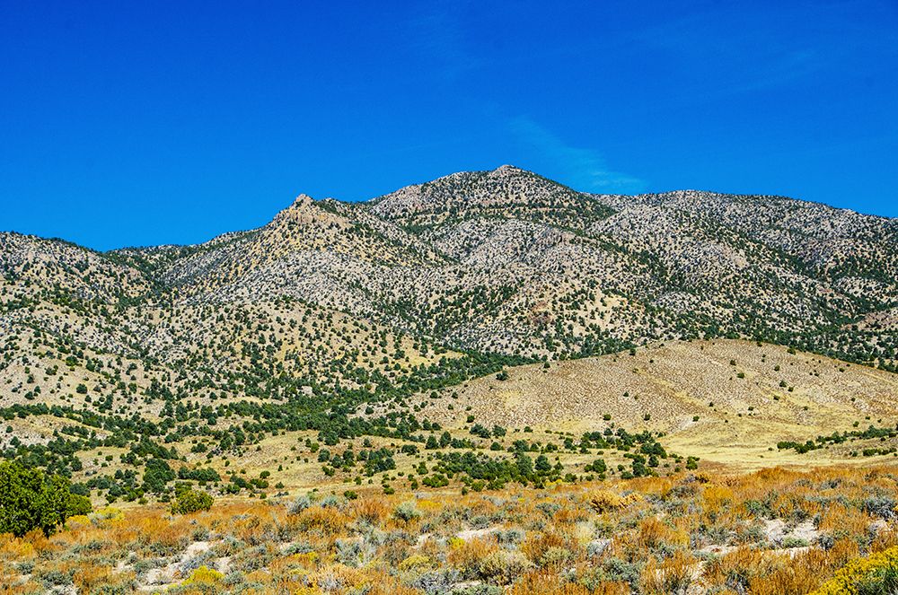 USA, Nevada, Ely. White Pine Mountains art print by Bernard Friel for $57.95 CAD