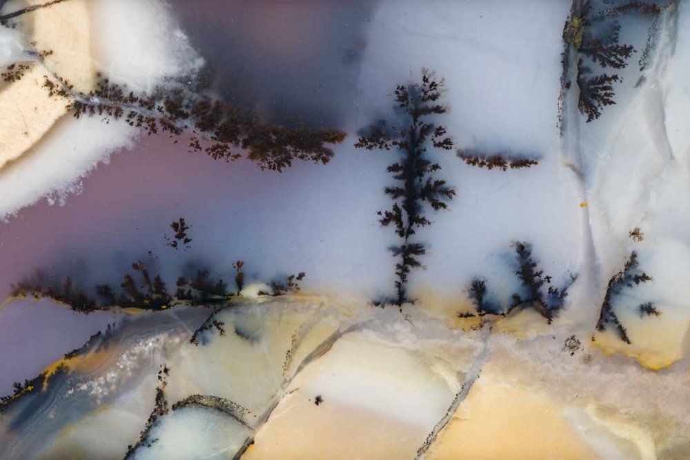 USA, Nevada Close-up of amethyst sage agate art print by Dennis Kirkland for $57.95 CAD