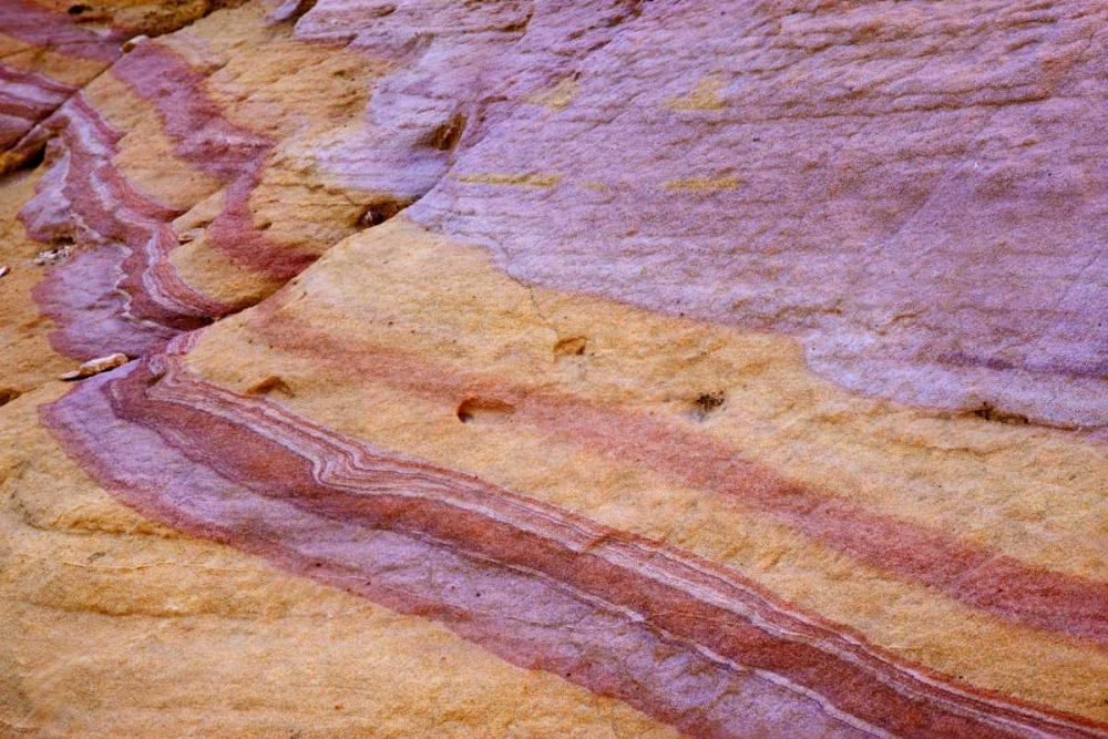 Nevada, Valley of Fire SP Colored sandstone art print by Don Grall for $57.95 CAD
