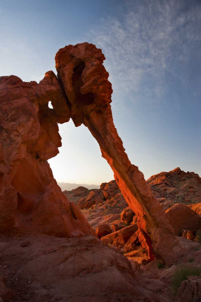Nevada, Valley of Fire SP View of Elephant Rock art print by Don Grall for $57.95 CAD